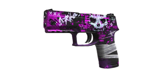 P350 | Raider