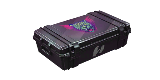 Gloves Case | Prey